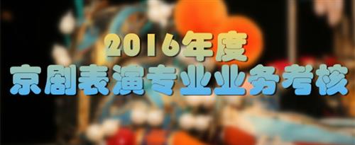 摸奶骚货淫妇汁液网站国家京剧院2016年度京剧表演专业业务考...